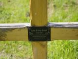 image of grave number 904478